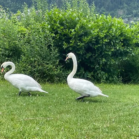 Lejlighed Landskron Am Ossiachersee