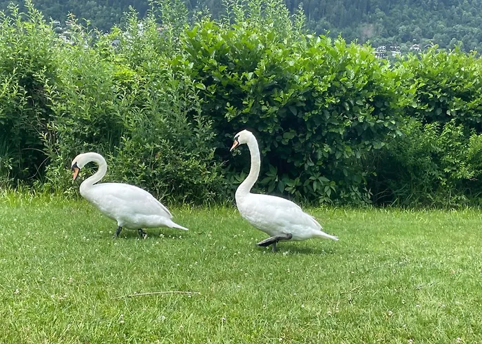 Appartamento Landskron Am Ossiachersee